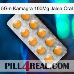 5Gm Kamagra 100Mg Oral Jelly levitra1